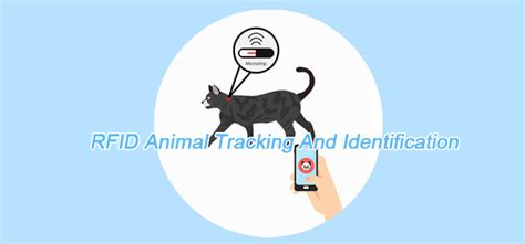 animal rfid tag frequency|animal identification and tracking.